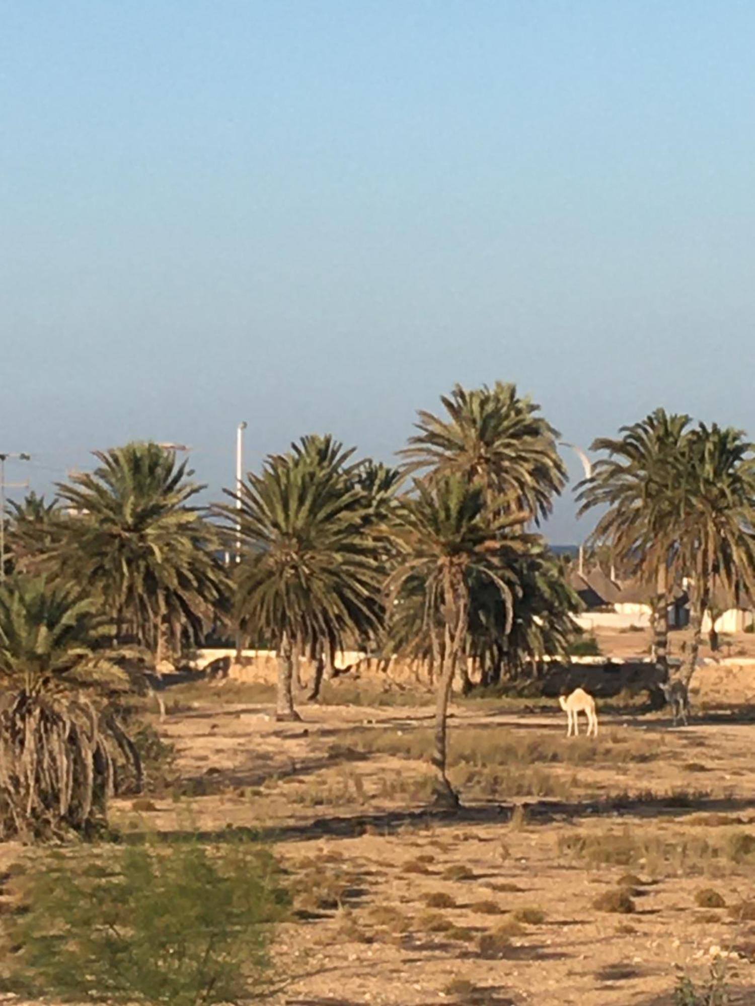 Tamalou Djerba Aparthotel Midoun Exterior foto